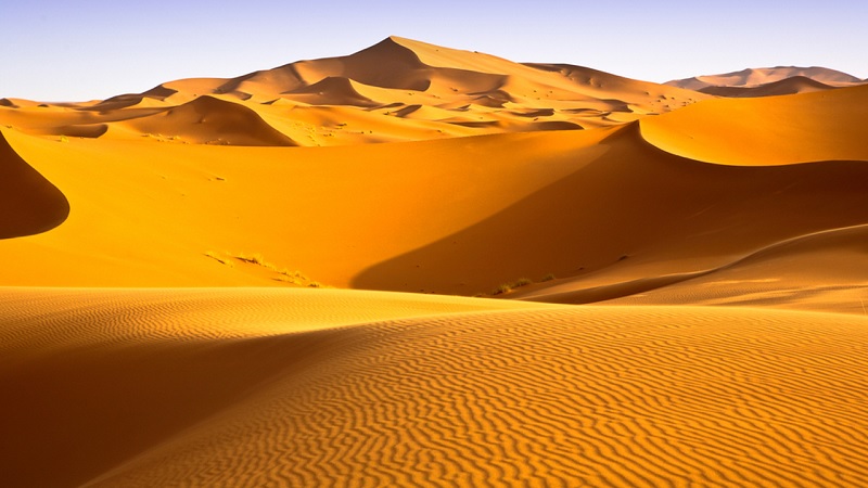 Sa mạc là gì? Top 10 danh sách những Sa mạc lớn nhất Thế giới