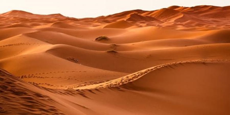 Phía nam của khu vực Bắc Phi là hoang mạc nào?