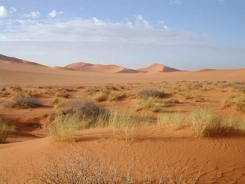 Hình ảnh Hoang mạc