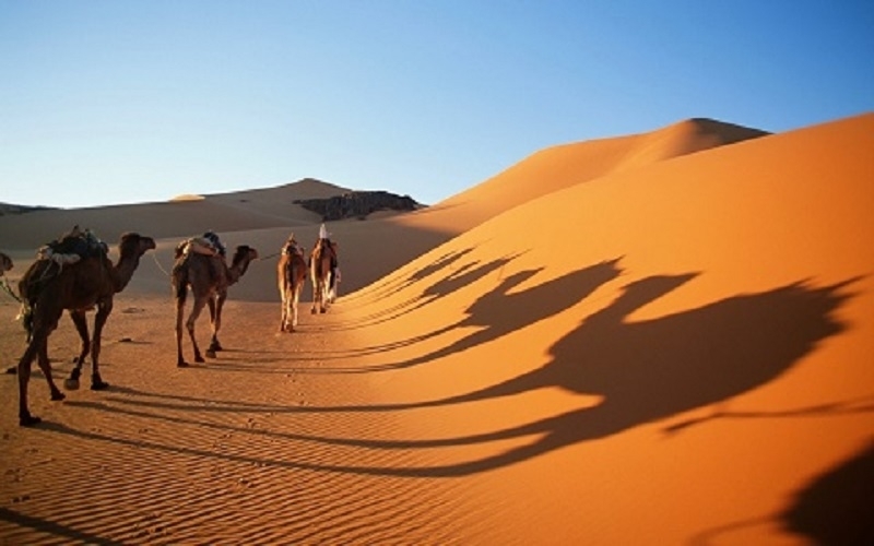 Hình ảnh Sa mạc Ả Rập