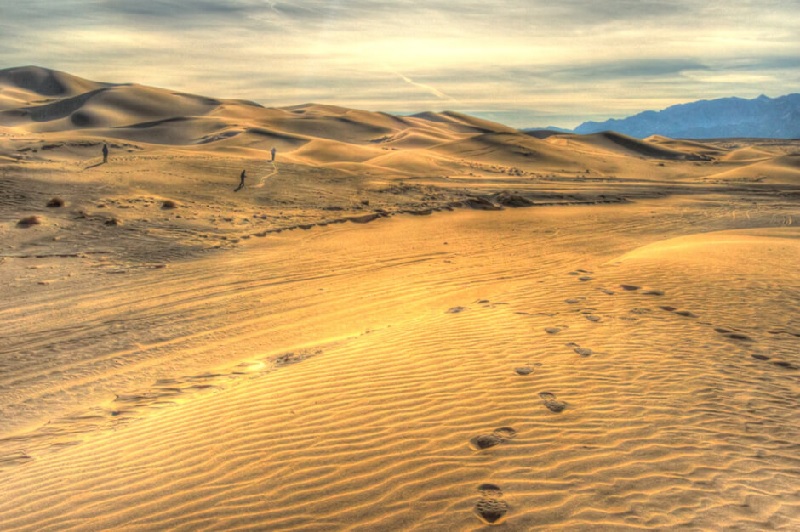 Hình ảnh Sa mạc Gobi