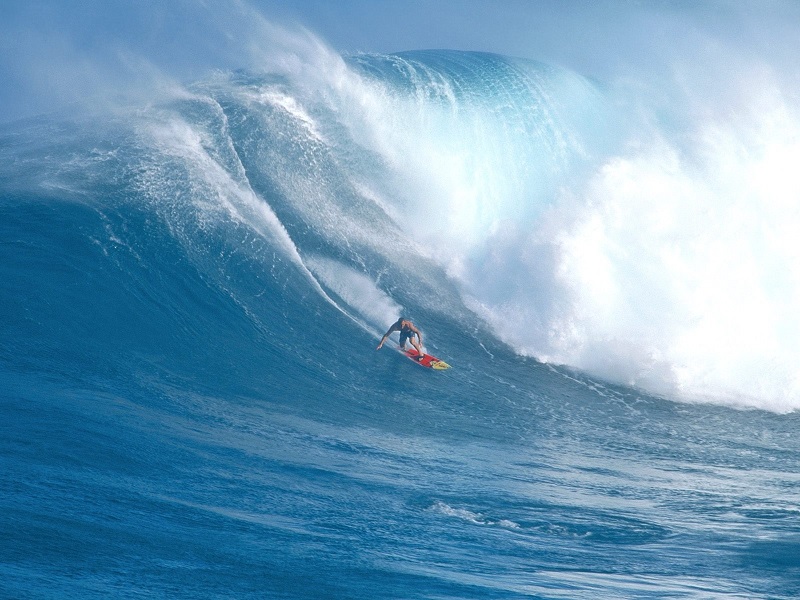 Lướt sóng trên biển tại Hawaii