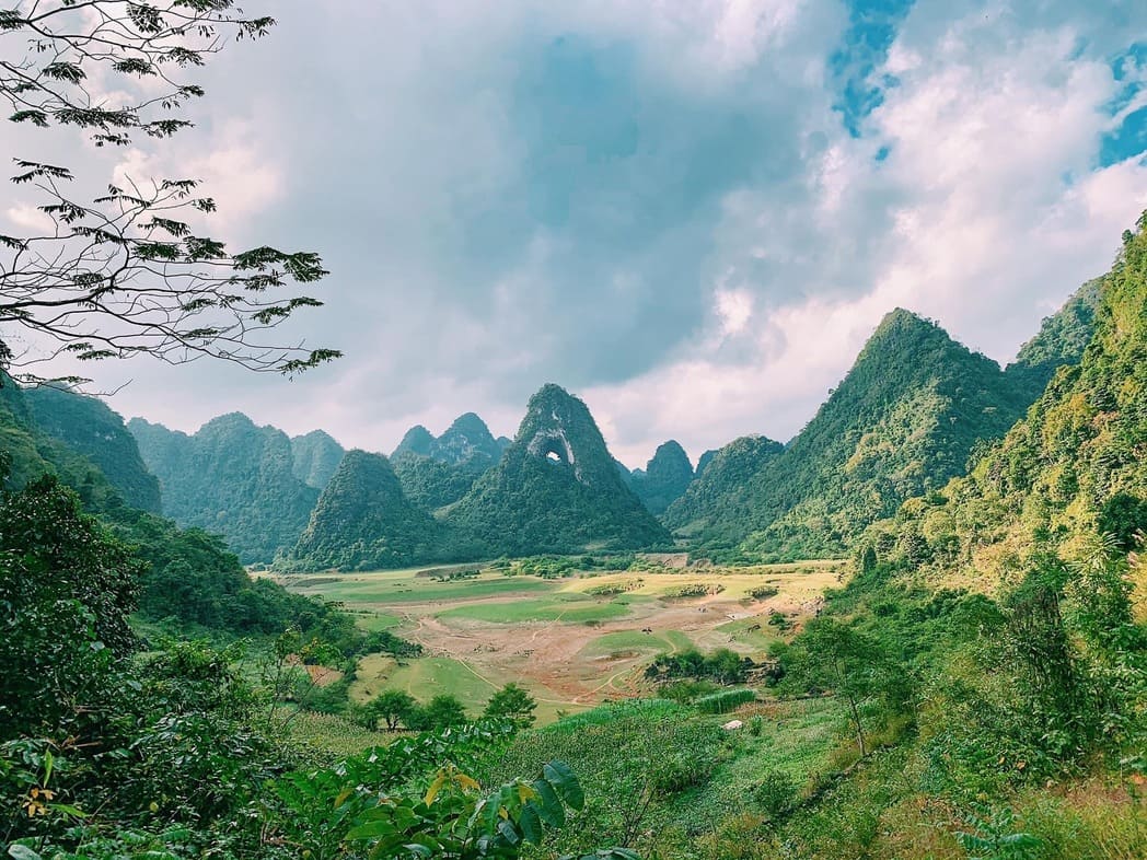 Vì sao nói đồi núi là bộ phận quan trọng nhất của cấu trúc địa hình Việt Nam?