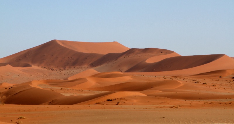 Sa mạc Sahara ở đâu? Những sự thật thú vị có thể bạn chưa biết về Sahara