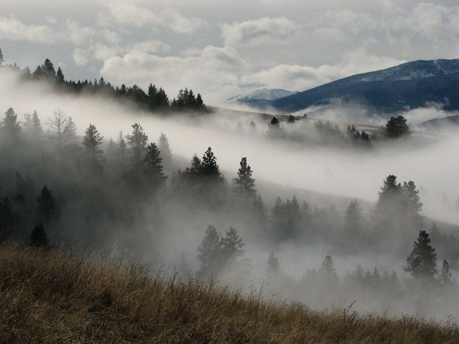 Sương mù là gì? Tại sao sương mù xuất hiện nhiều vào mùa đông? Tác hại của sương mù