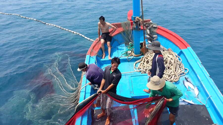 Thế mạnh tự nhiên để phát triển ngành đánh bắt thủy sản của vùng duyên hải Nam Trung Bộ là?