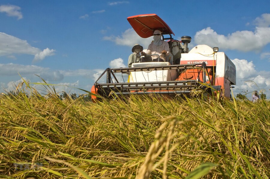 [Đáp án] Diện tích trồng lúa của Nhật Bản ngày càng giảm không phải là do