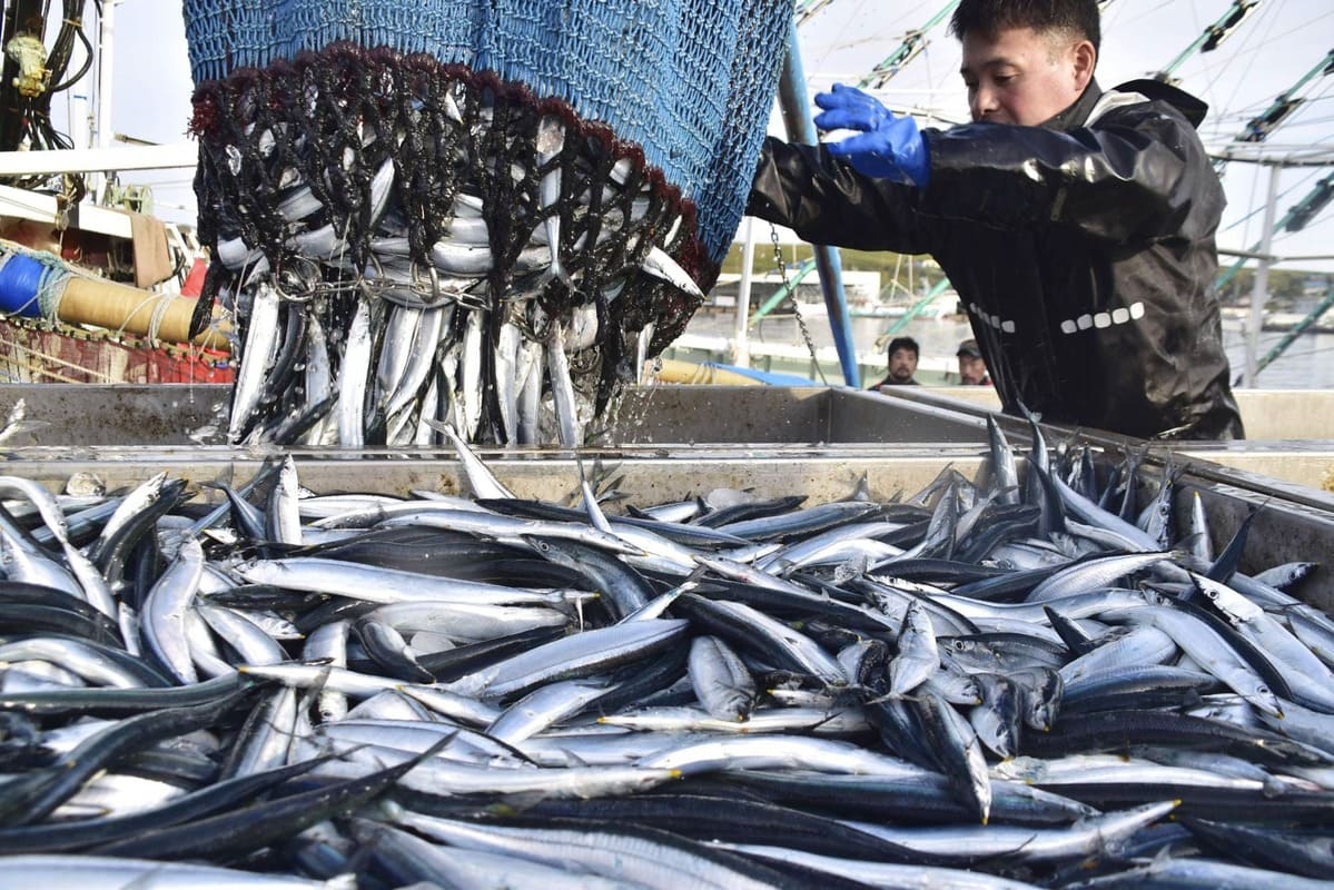 Tại sao đánh bắt hải sản là ngành kinh tế quan trọng của Nhật Bản?