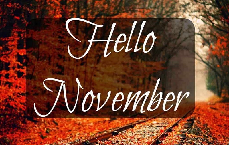 Tháng 11 mùa gì? Trong tháng 11 có những ngày lễ đặc biệt nào?