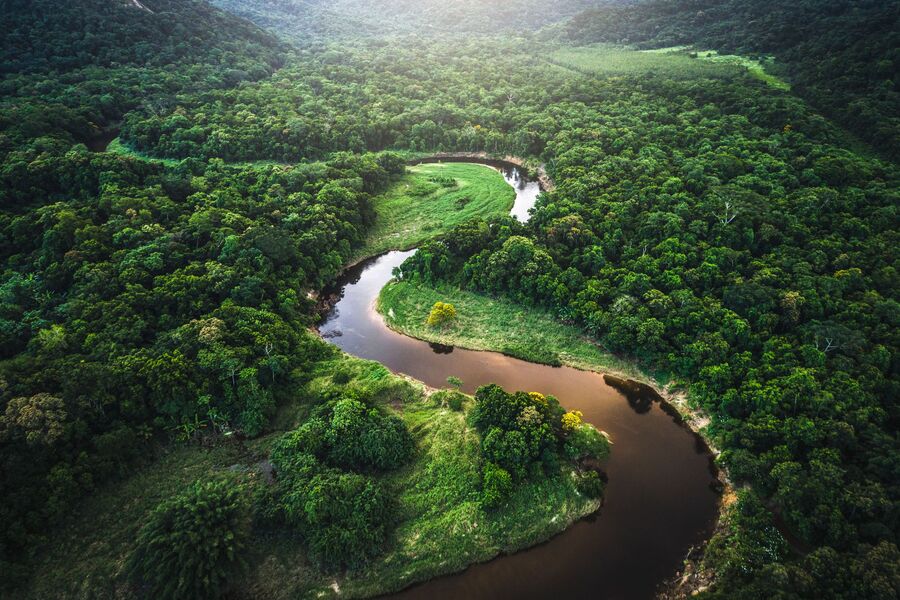 Nêu một số biện pháp bảo vệ rừng Amazon khỏi tình trạng chặt phá rừng và cháy rừng